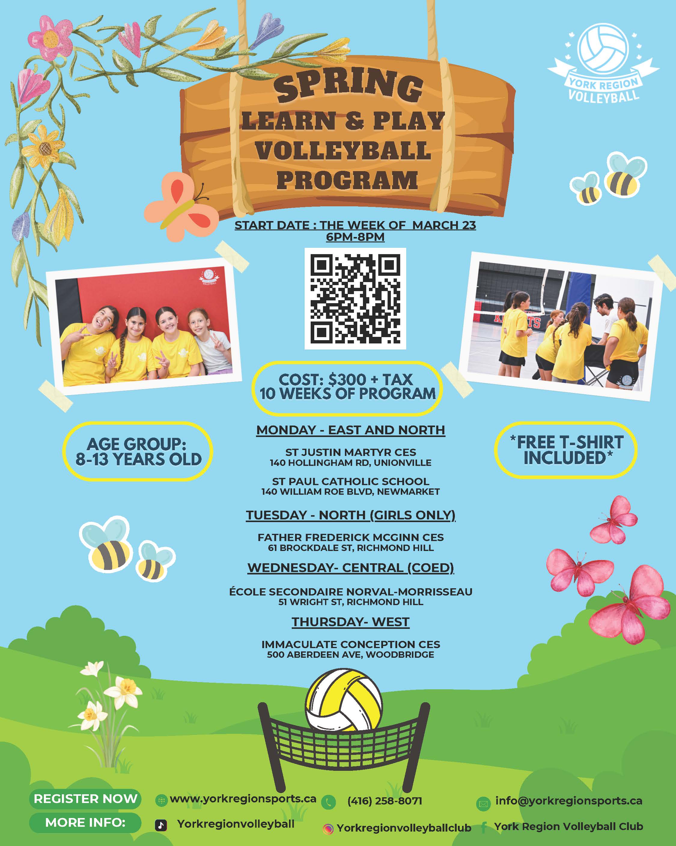 learn volleyball flyer