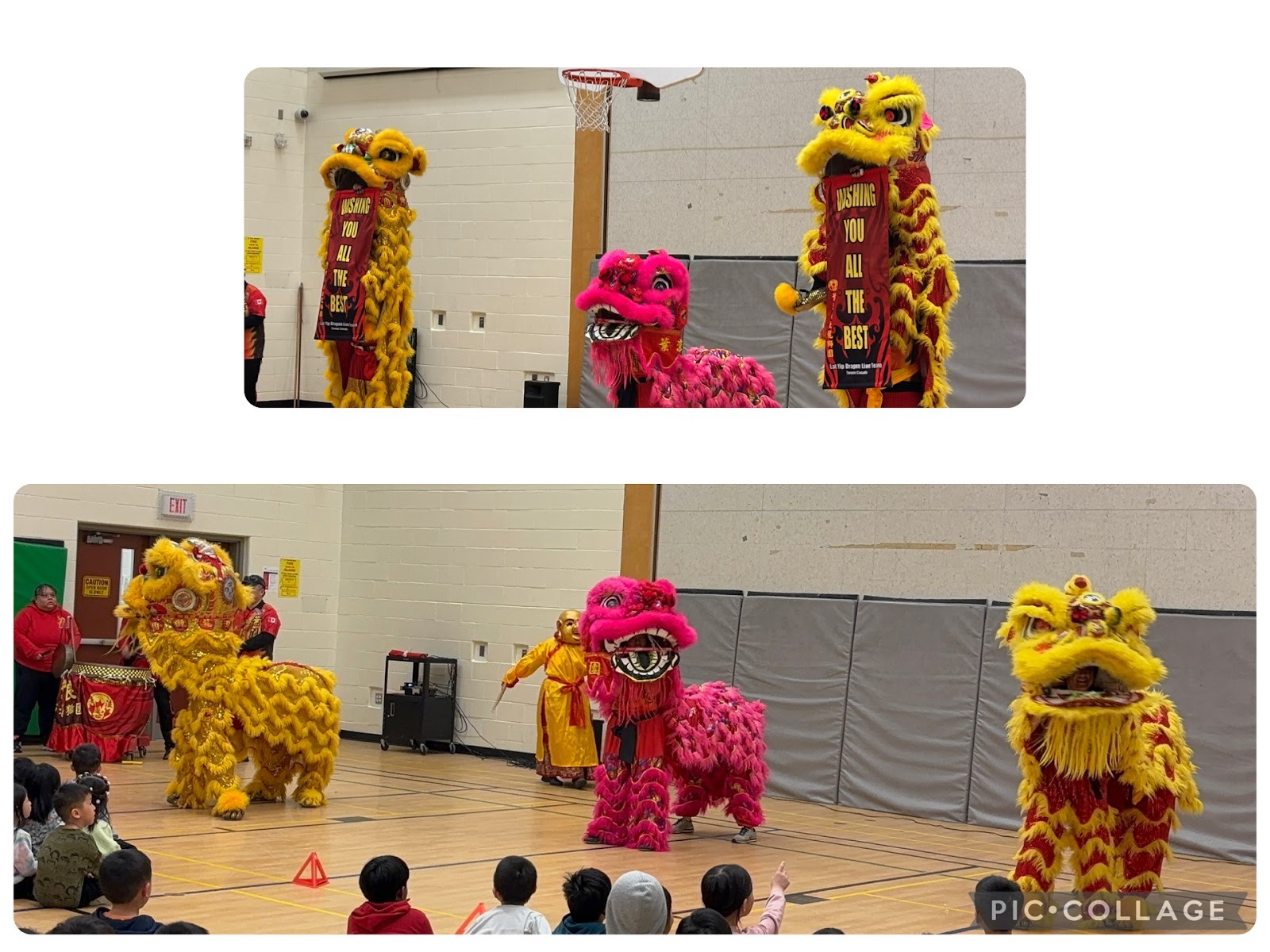 Lion dance performance