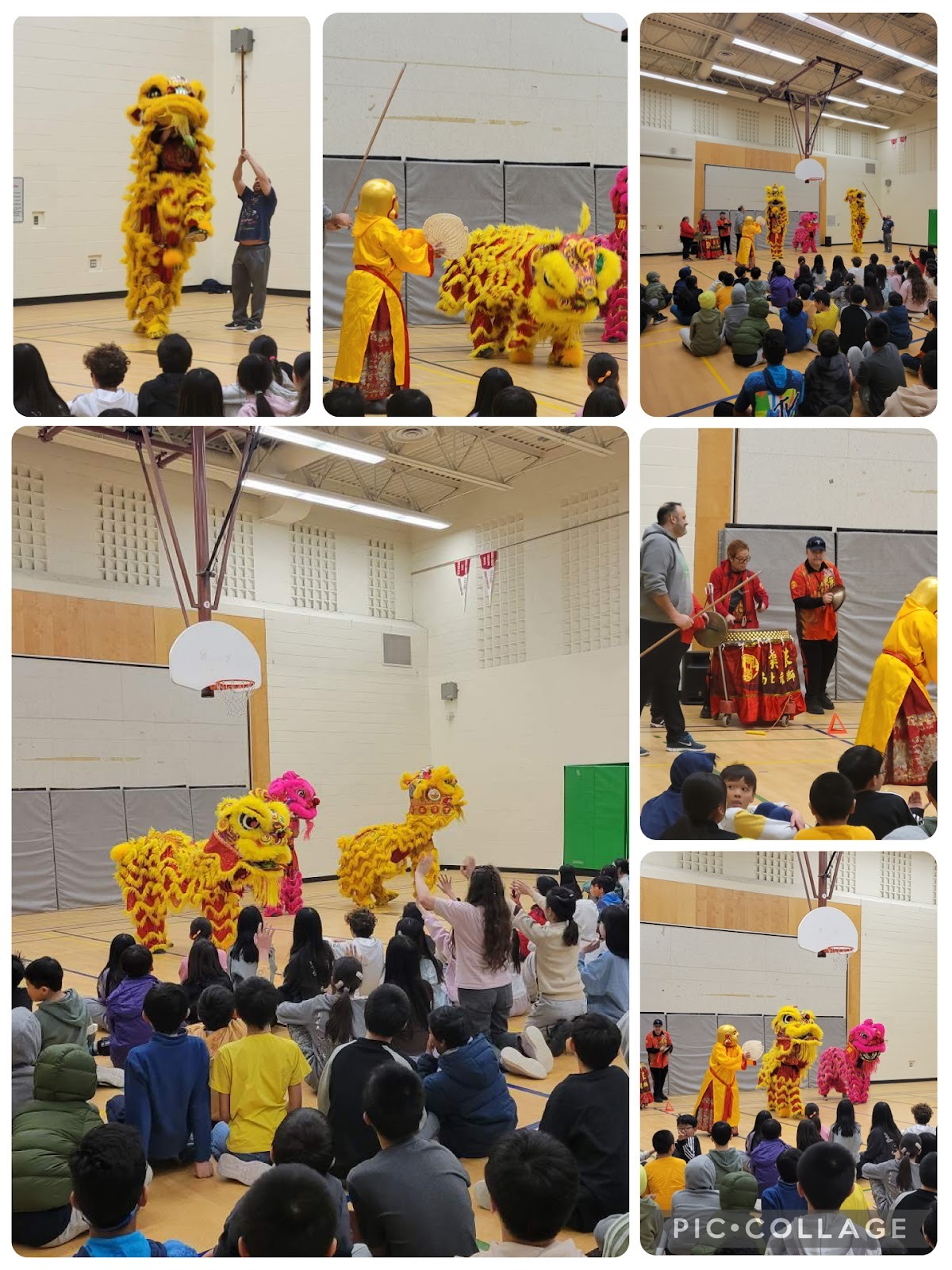 lion dance performance